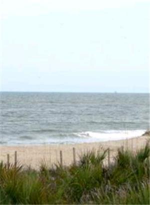 טייבי איילנד Ocean Song At Beachside Colony מראה חיצוני תמונה